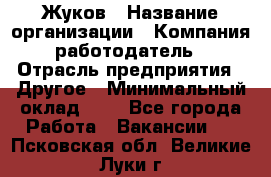 Жуков › Название организации ­ Компания-работодатель › Отрасль предприятия ­ Другое › Минимальный оклад ­ 1 - Все города Работа » Вакансии   . Псковская обл.,Великие Луки г.